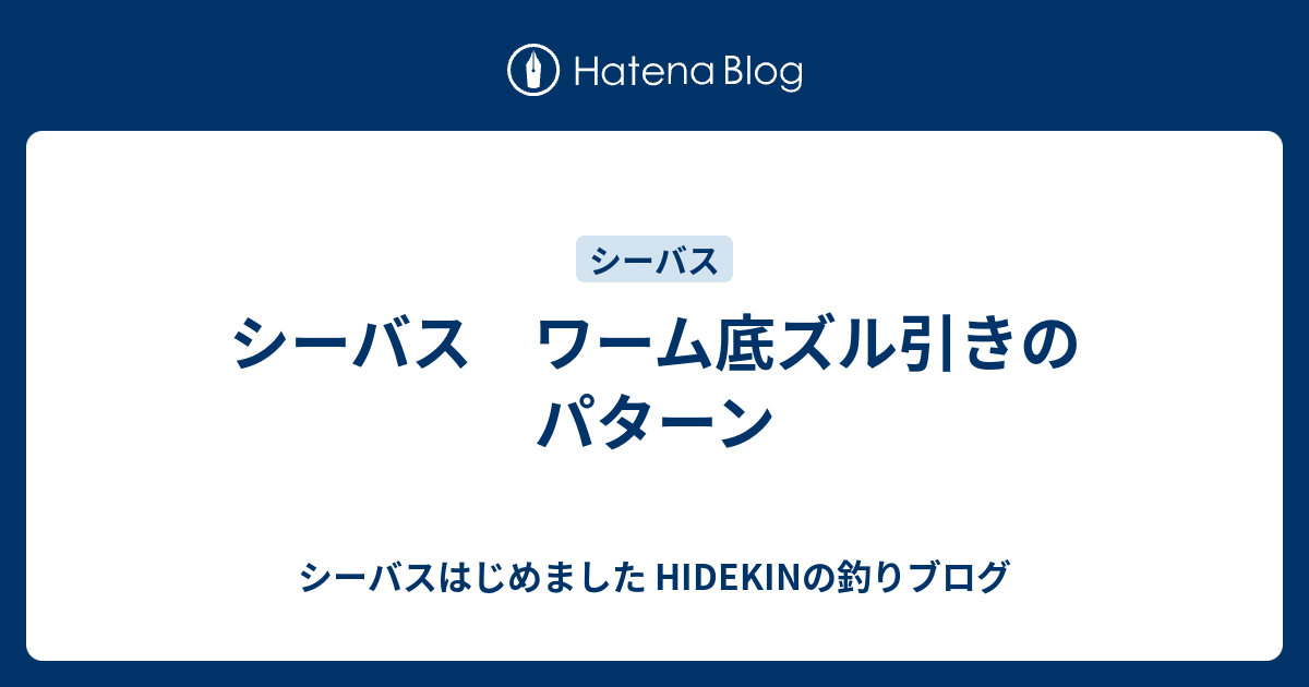 シーバス ワーム底ズル引きのパターン シーバスはじめました Hidekinの釣りブログ