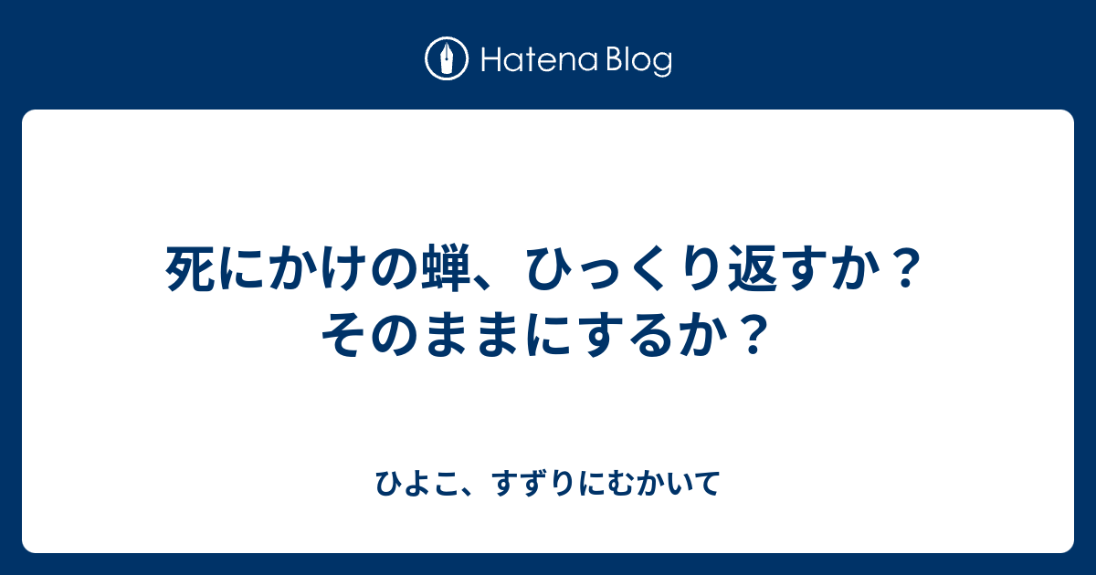 死にかけの蝉 ひっくり返すか そのままにするか ひよこ すずりにむかいて