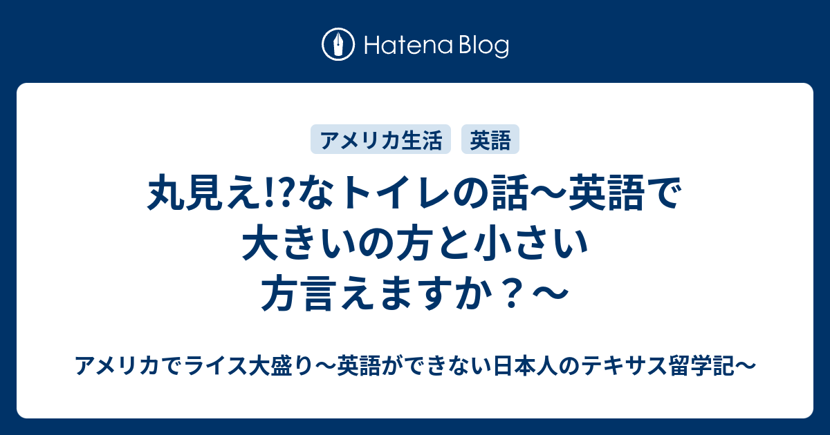 丸見え なトイレの話 英語で大きいの方と小さい方言えますか アメリカでライス大盛り 英語ができない日本人のテキサス留学記