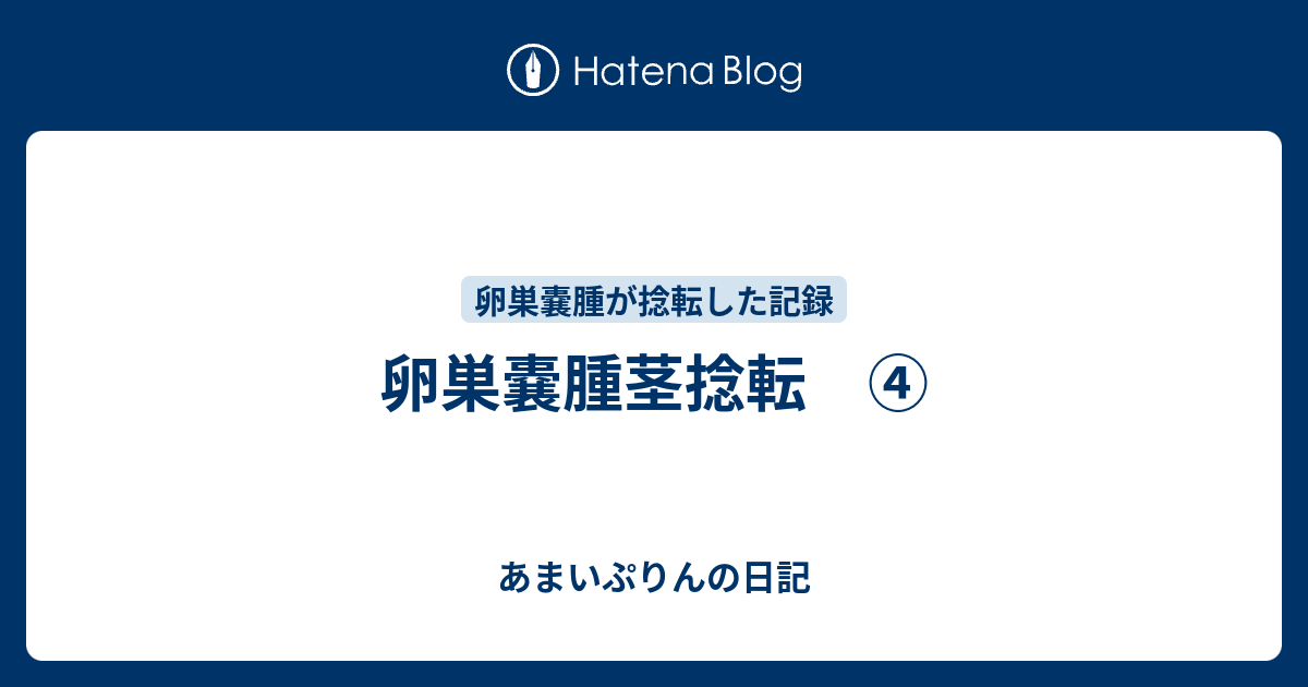 卵巣嚢腫茎捻転 ④ あまいぷりんの日記