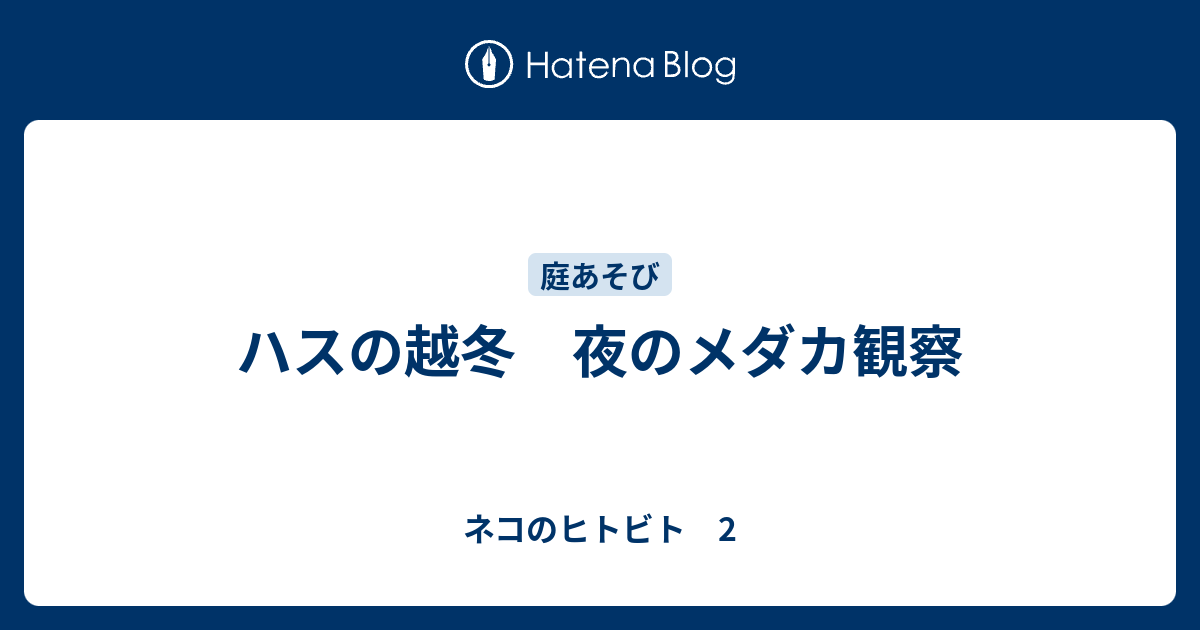 ハスの越冬 夜のメダカ観察 - ネコのヒトビト 2