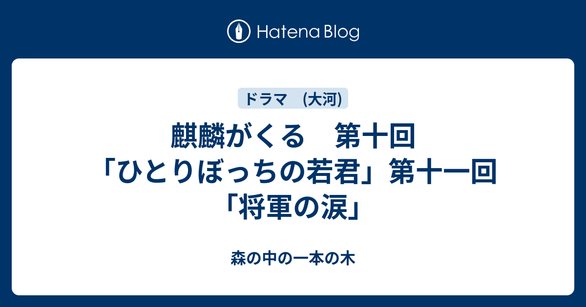 麒麟がくる 第十回「ひとりぼっちの若君」第十一回「将軍の涙」 - 森の中の一本の木