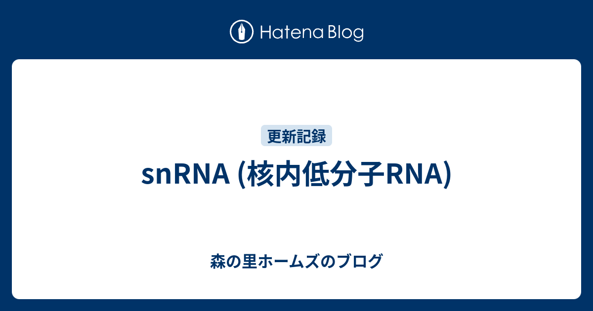 snRNA (核内低分子RNA) - 森の里ホームズのブログ