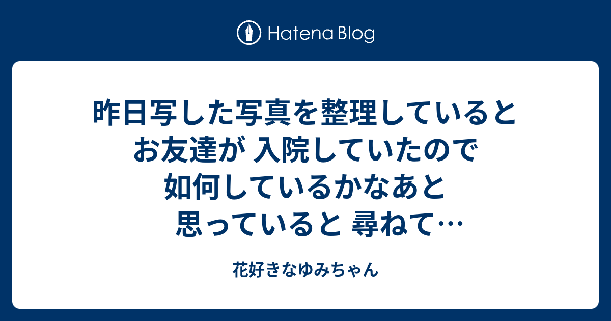 - 花好きなゆみちゃん