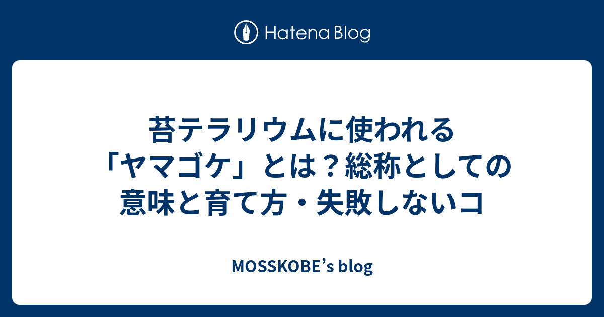 苔テラリウムに使われる「ヤマゴケ」とは？総称としての意味と育て方・失敗しないコ - MOSSKOBE’s blog