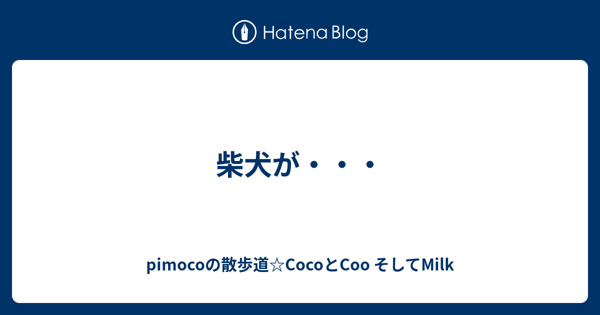 柴犬が・・・ - pimocoの散歩道☆CocoとCoo そしてMilk