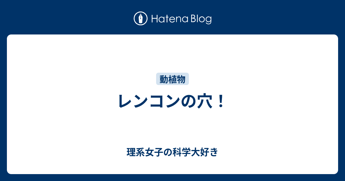 に ある が レンコン 理由 穴