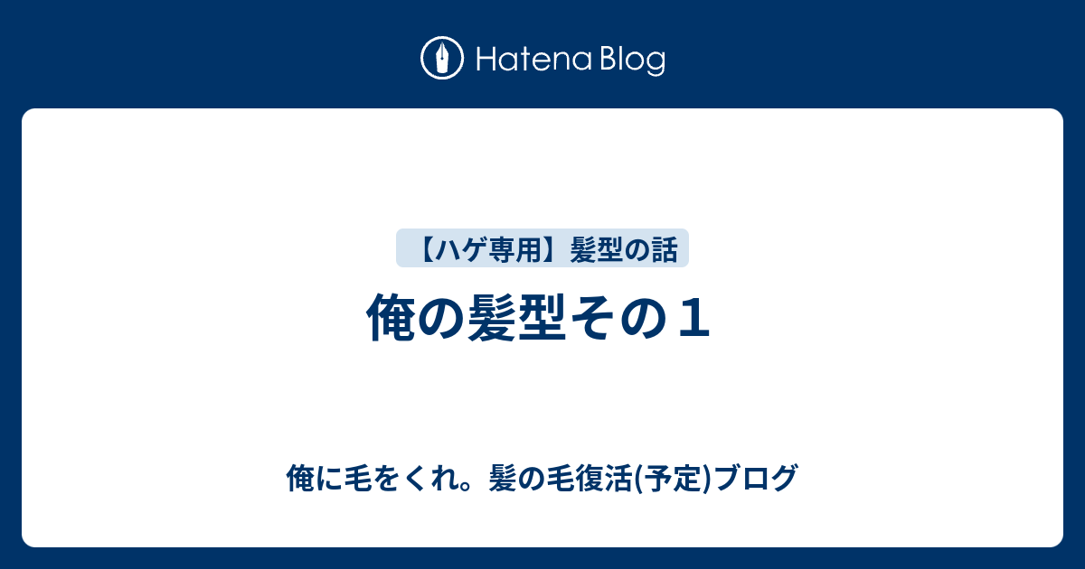 俺の髪型その１ 俺に毛をくれ 髪の毛復活 予定 ブログ