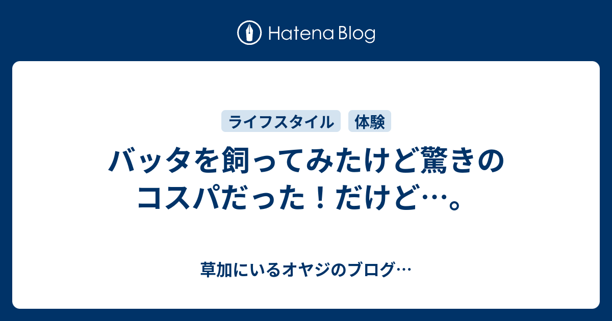 バッタを飼ってみたけど驚きのコスパだった だけど 草加にいるオヤジのブログ