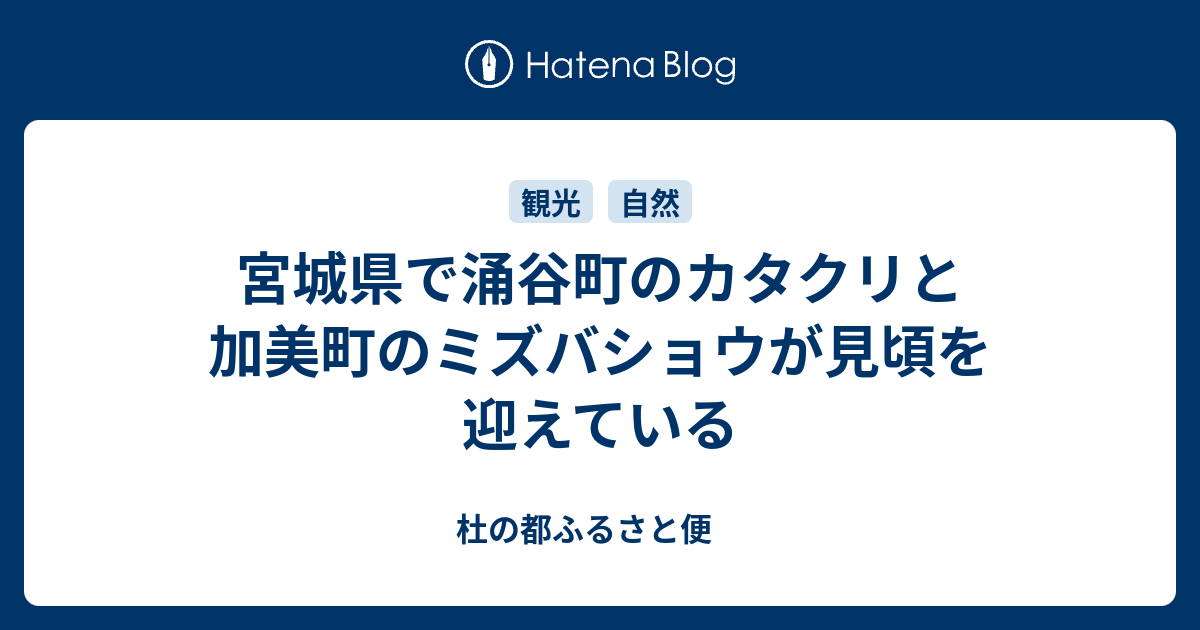 宮城県で涌谷町のカタクリと加美町のミズバショウが見頃を迎えている 杜の都ふるさと便