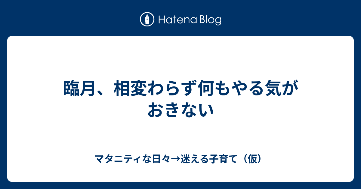 臨月 相変わらず何もやる気がおきない マタニティな日々 迷える子育て 仮