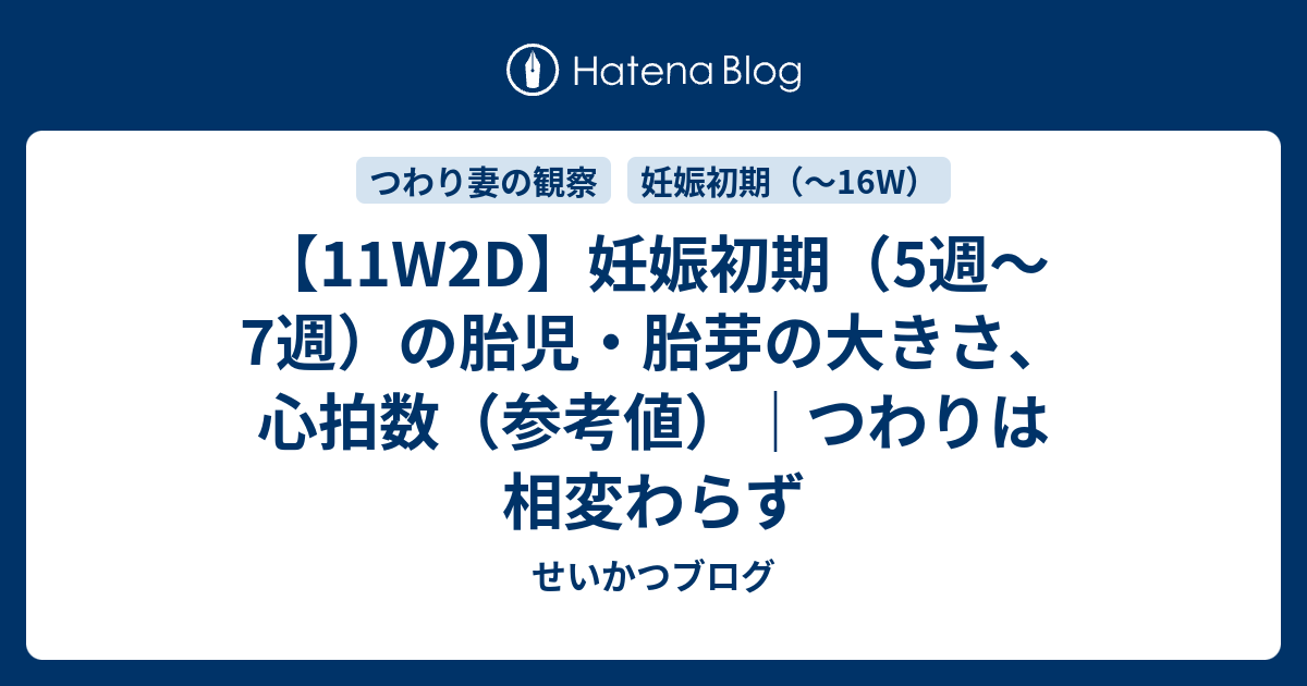 11w2d 妊娠初期 5週 7週 の胎児 胎芽の大きさ 心拍数 参考値 つわりは相変わらず 父と育児と妊娠情報