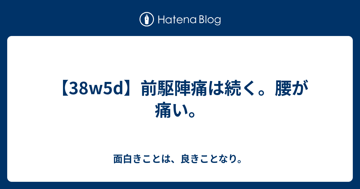 38w5d 前駆陣痛は続く 腰が痛い 面白きことは 良きことなり