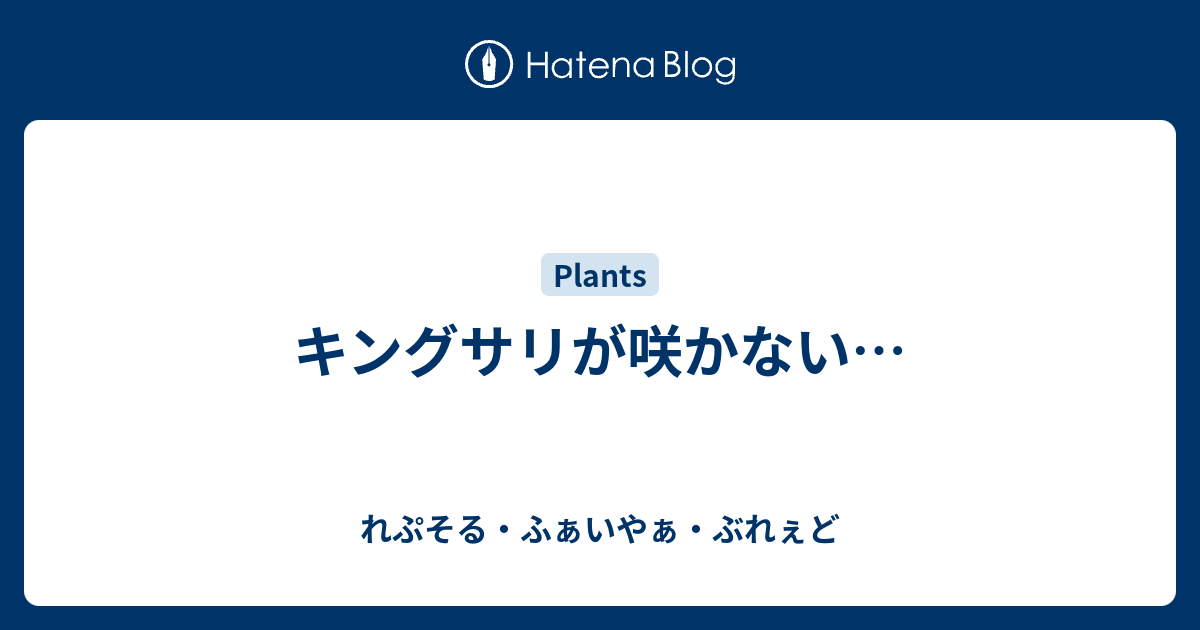 キングサリが咲かない れぷそる ふぁいやぁ ぶれぇど