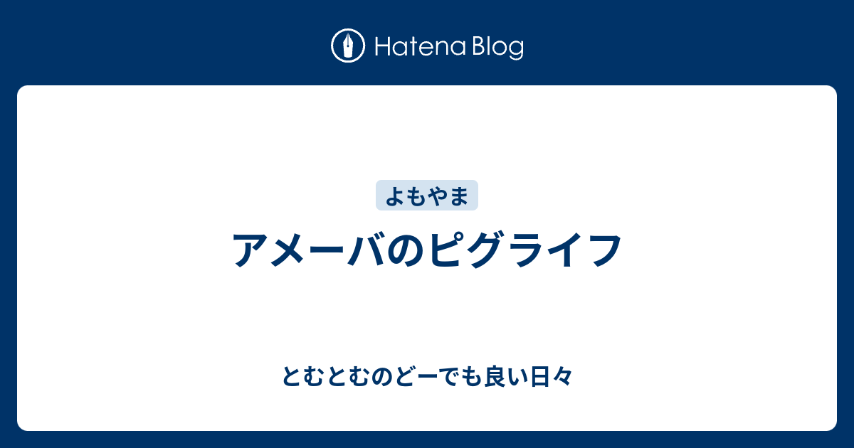 アメーバのピグライフ とむとむのどーでも良い日々