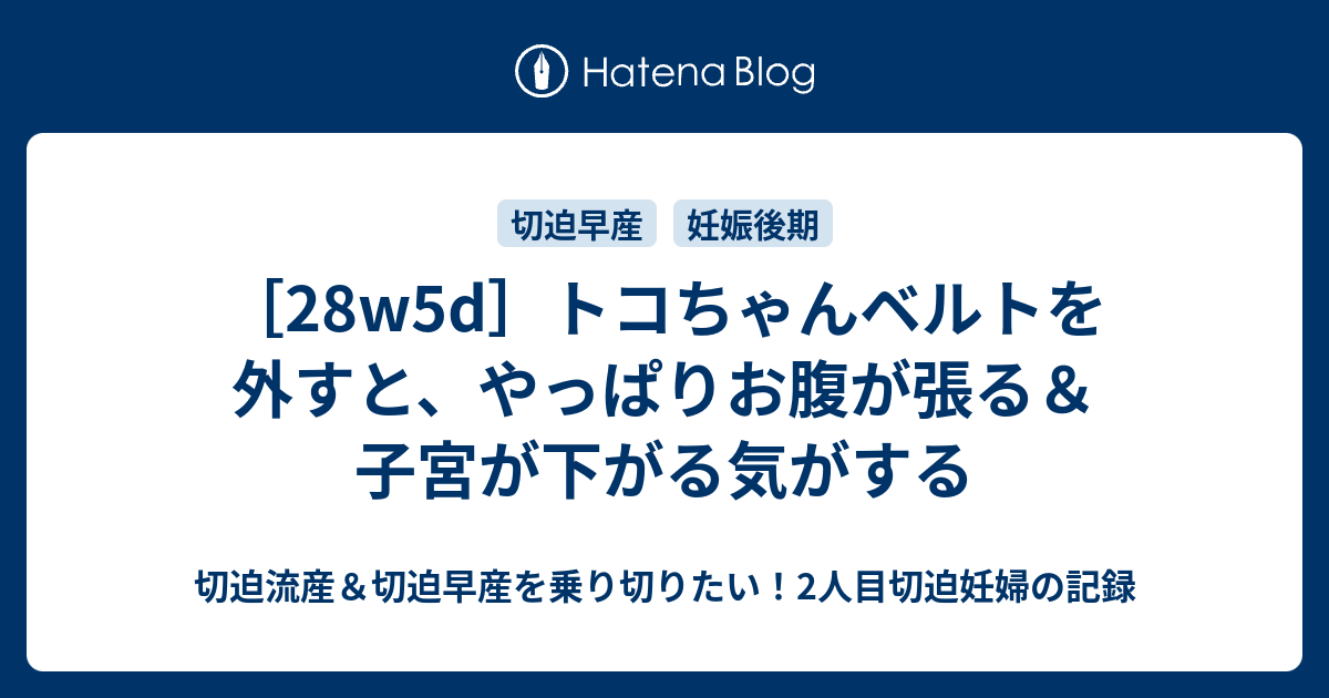 28w5d トコちゃんベルトを外すと やっぱりお腹が張る 子宮が下がる気がする 切迫流産 切迫早産を乗り切りたい 2人目切迫妊婦の記録