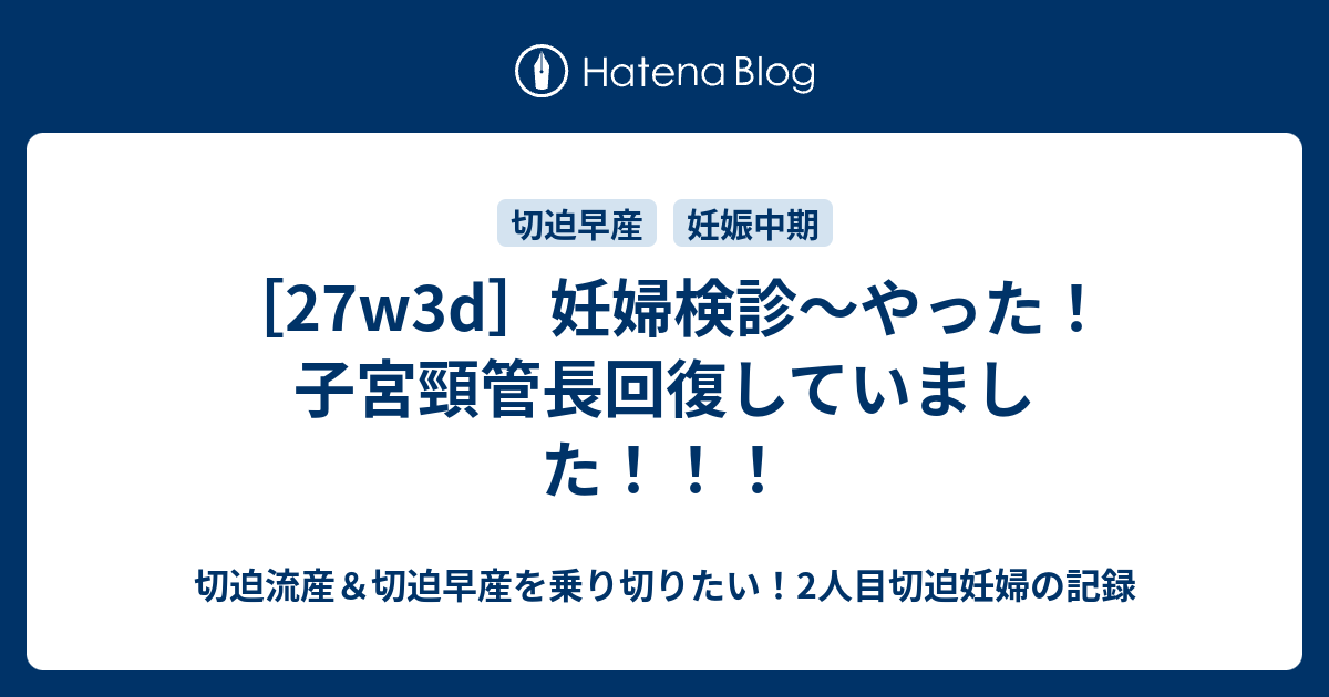 27w3d 妊婦検診 やった 子宮頸管長回復していました 切迫流産 切迫早産を乗り切りたい 2人目切迫妊婦の記録