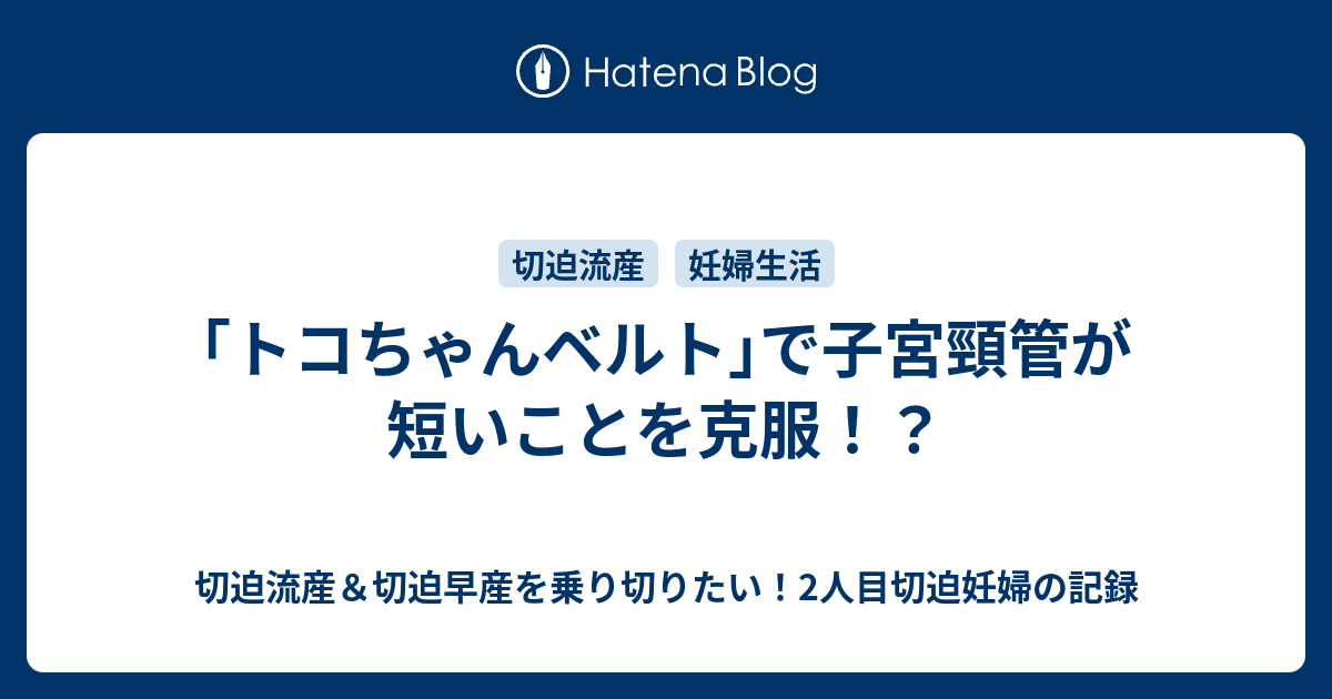 トコちゃんベルト で子宮頸管が短いことを克服 切迫流産 切迫早産を乗り切りたい 2人目切迫妊婦の記録