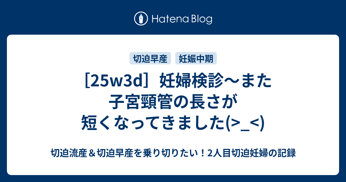 25w3d 妊婦検診 また子宮頸管の長さが短くなってきました 切迫流産 切迫早産を乗り切りたい 2人目切迫妊婦の記録