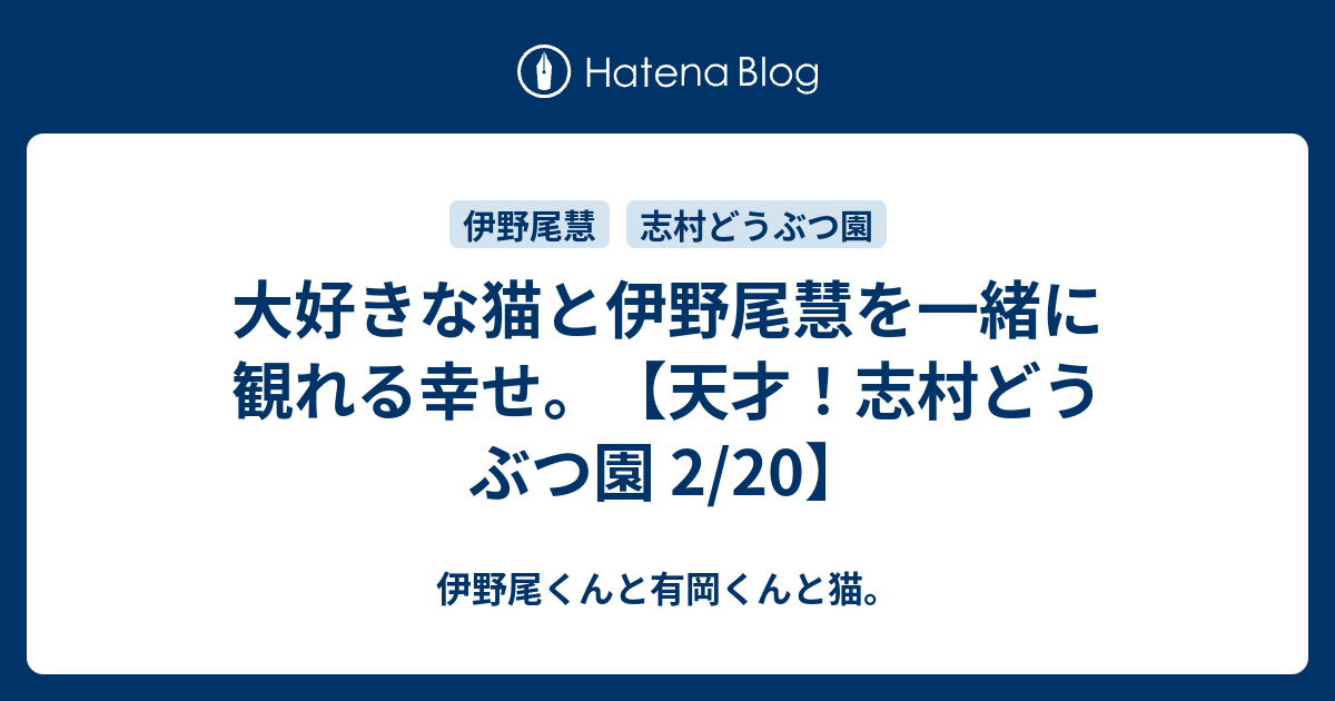 大好きな猫と伊野尾慧を一緒に観れる幸せ 天才 志村どうぶつ園 2 伊野尾くんと有岡くんと猫