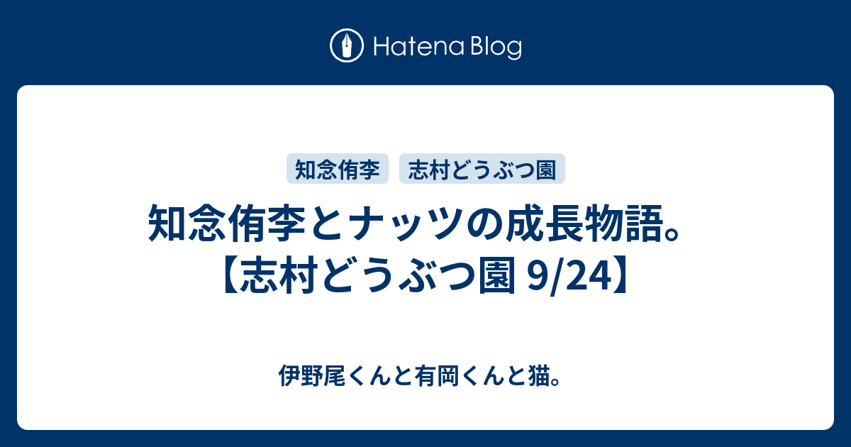 知念侑李とナッツの成長物語 志村どうぶつ園 9 24 伊野尾くんと有岡くんと猫