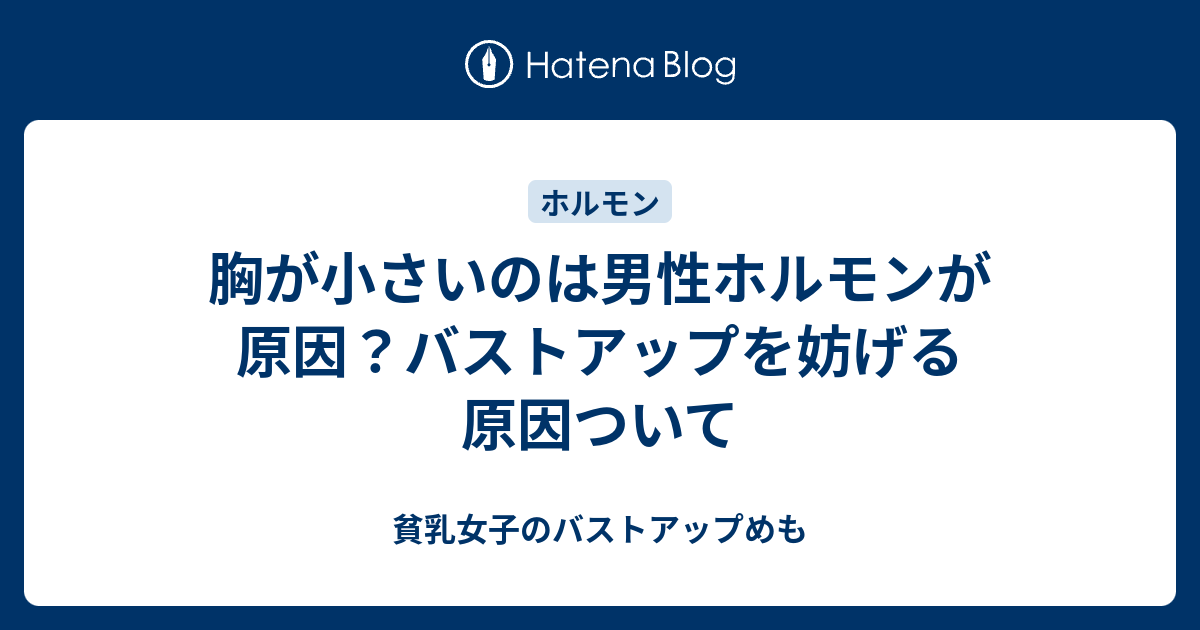 胸が小さいのは男性ホルモンが原因？バストアップを妨げる原因ついて 貧乳女子のバストアップめも 4097