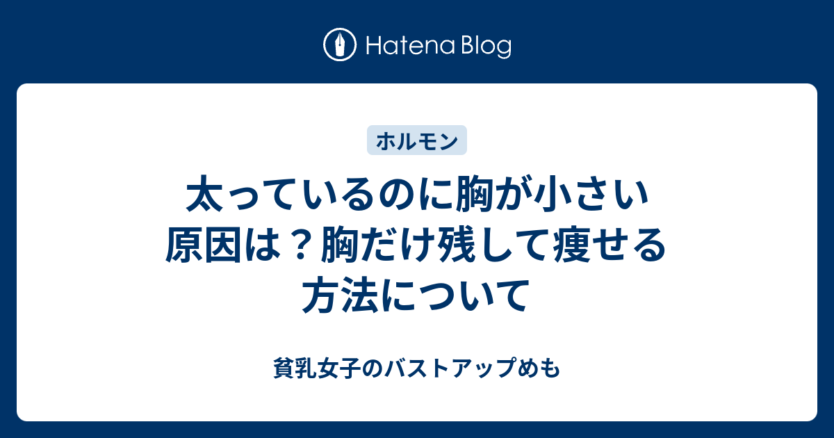 太っているのに胸が小さい原因は 胸だけ残して痩せる方法について 貧乳女子のバストアップめも