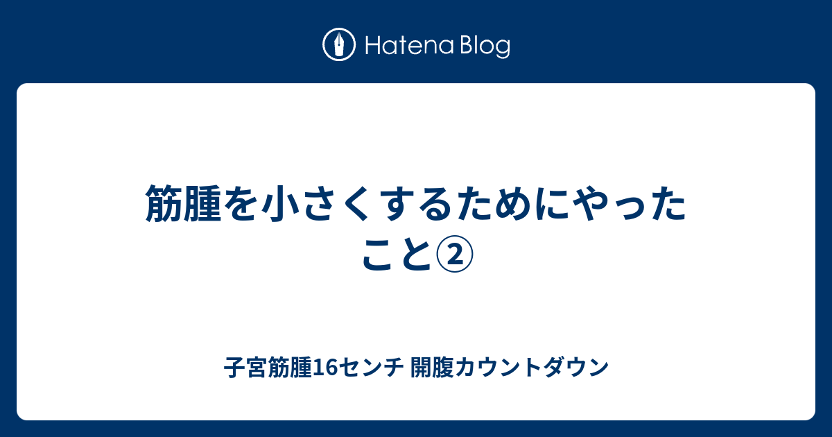 筋腫を小さくするためにやったこと 子宮筋腫16センチ 開腹カウントダウン