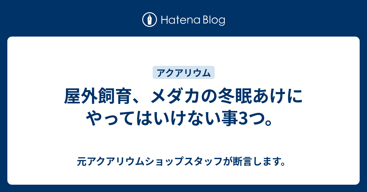 屋外飼育 メダカの冬眠あけにやってはいけない事3つ 元アクアリウムショップスタッフが断言します