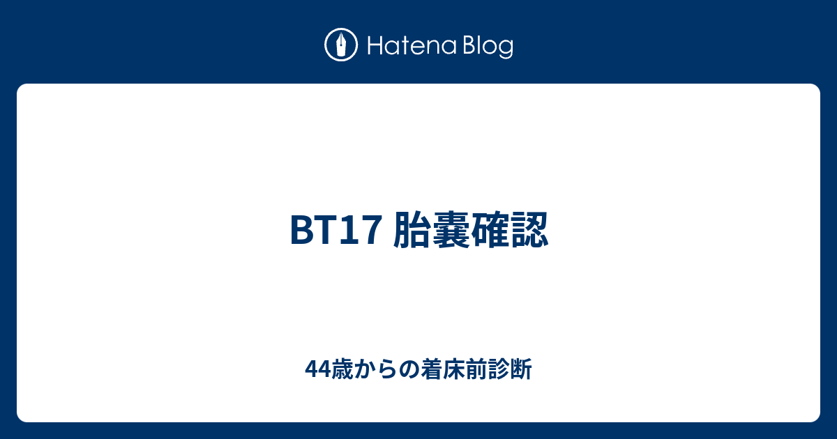 Bt17 胎嚢確認 44歳からの着床前診断