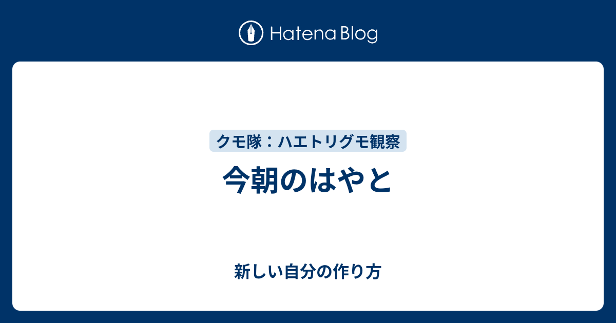 今朝のはやと - 新しい自分の作り方