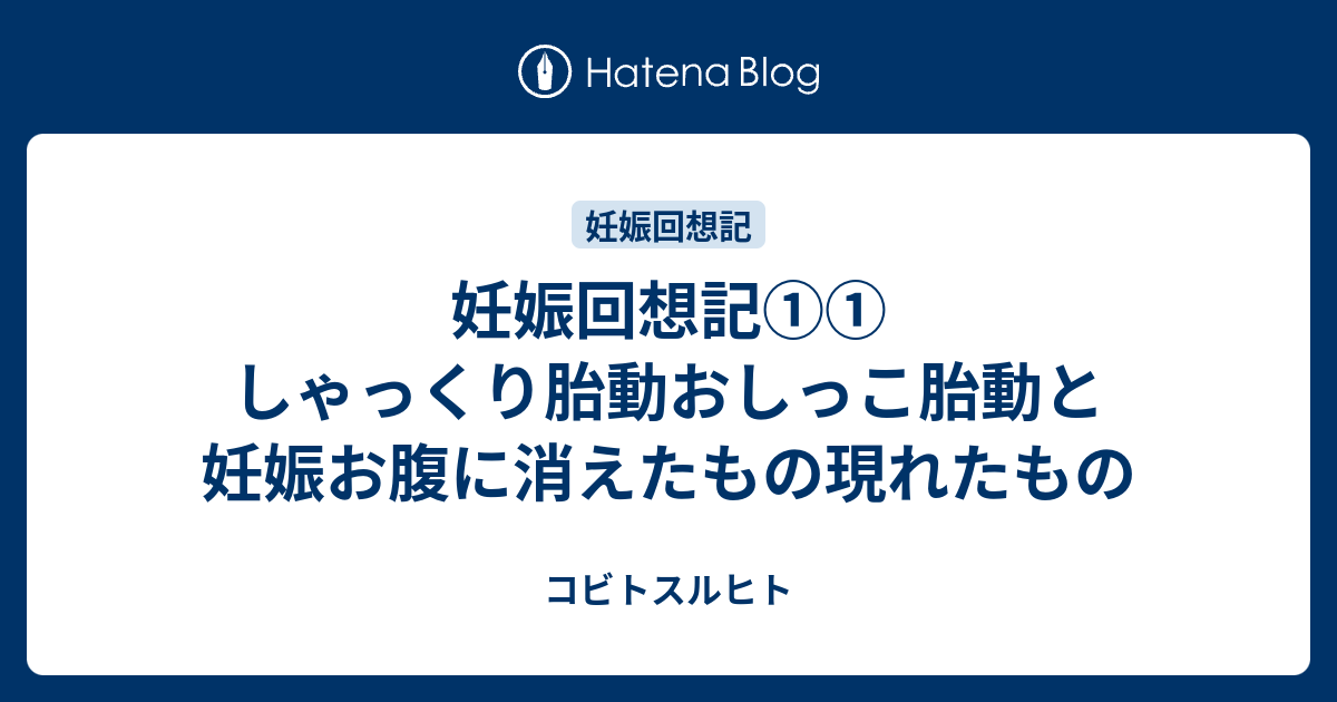 妊娠回想記 しゃっくり胎動おしっこ胎動と 妊娠お腹に消えたもの現れたもの コビトスルヒト