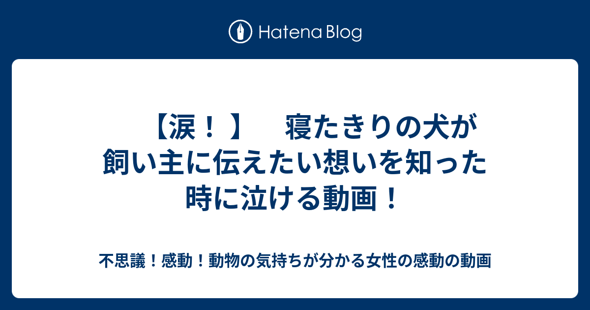 涙 寝たきりの犬が飼い主に伝えたい想いを知った時に泣ける動画 不思議 感動 動物の気持ちが分かる女性の感動の動画