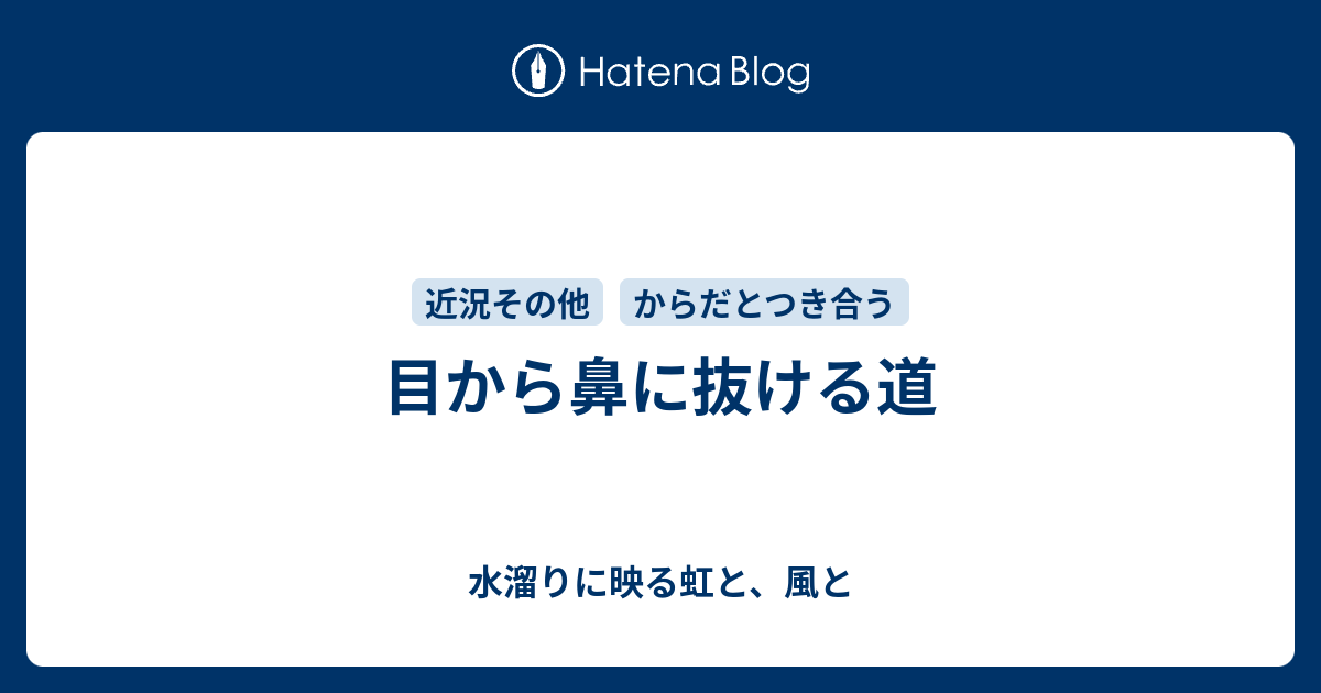 目から鼻に抜ける道 水溜りに映る虹と 風と