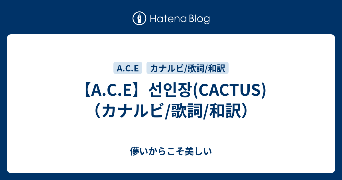 A C E 선인장 Cactus カナルビ 歌詞 和訳 儚いからこそ美しい