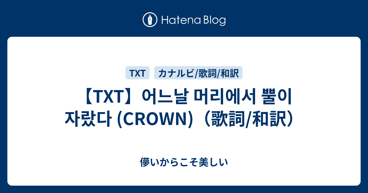 Txt 어느날 머리에서 뿔이 자랐다 Crown 歌詞 和訳 儚いからこそ美しい