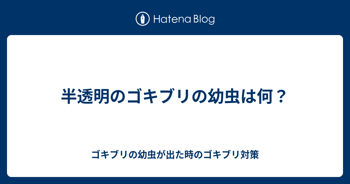 半透明のゴキブリの幼虫は何 ゴキブリの幼虫が出た時のゴキブリ対策