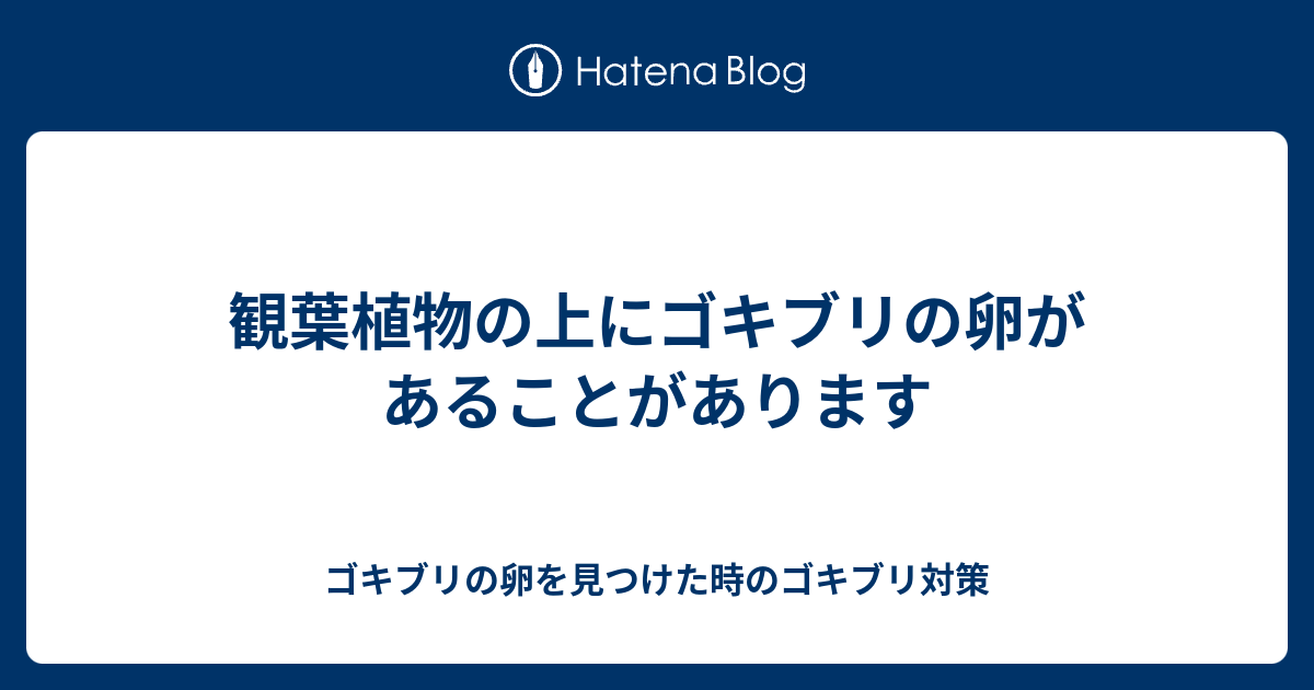 観葉植物の上にゴキブリの卵があることがあります ゴキブリの卵を見つけた時のゴキブリ対策