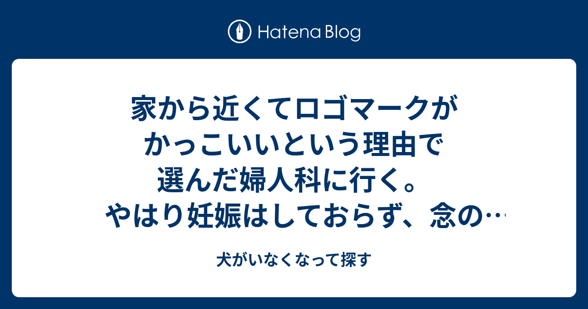 犬がいなくなって探す