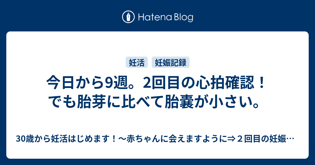 今日から9週 2回目の心拍確認 でも胎芽に比べて胎嚢が小さい 30歳から妊活はじめます 赤ちゃんに会えますように ２回目の妊娠中