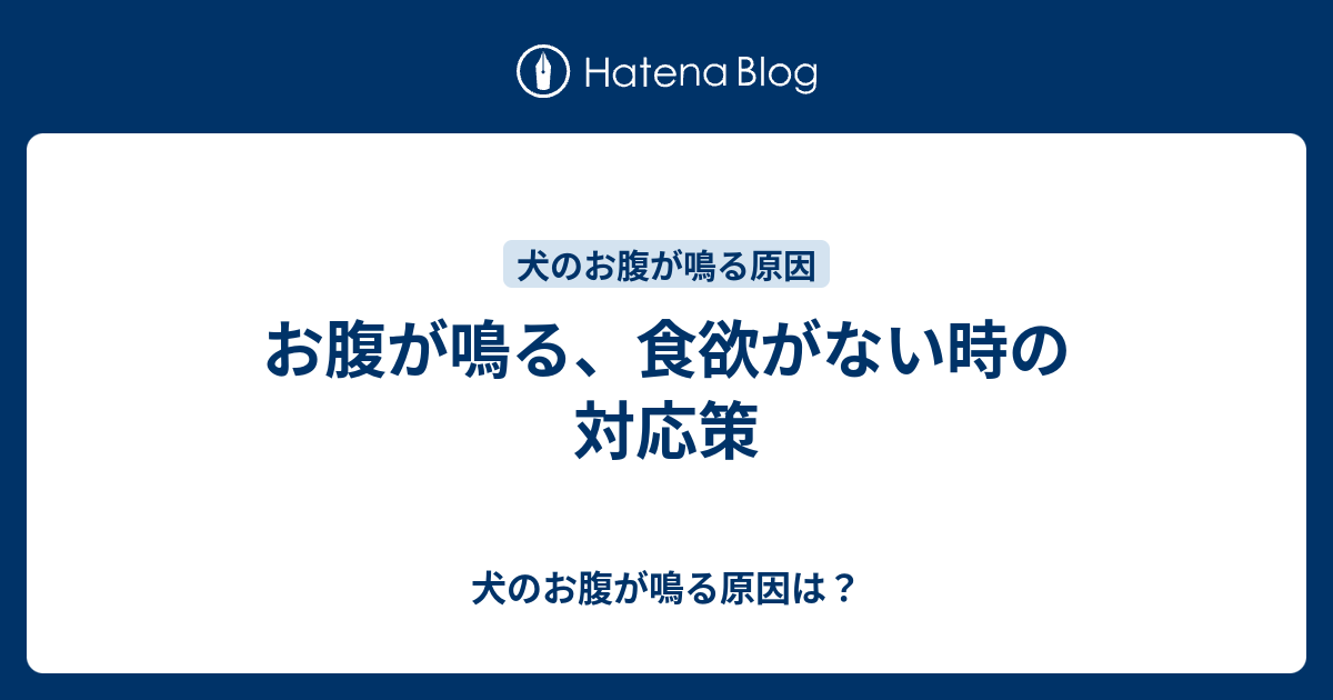 お腹が鳴る 食欲がない時の対応策 犬のお腹が鳴る原因は