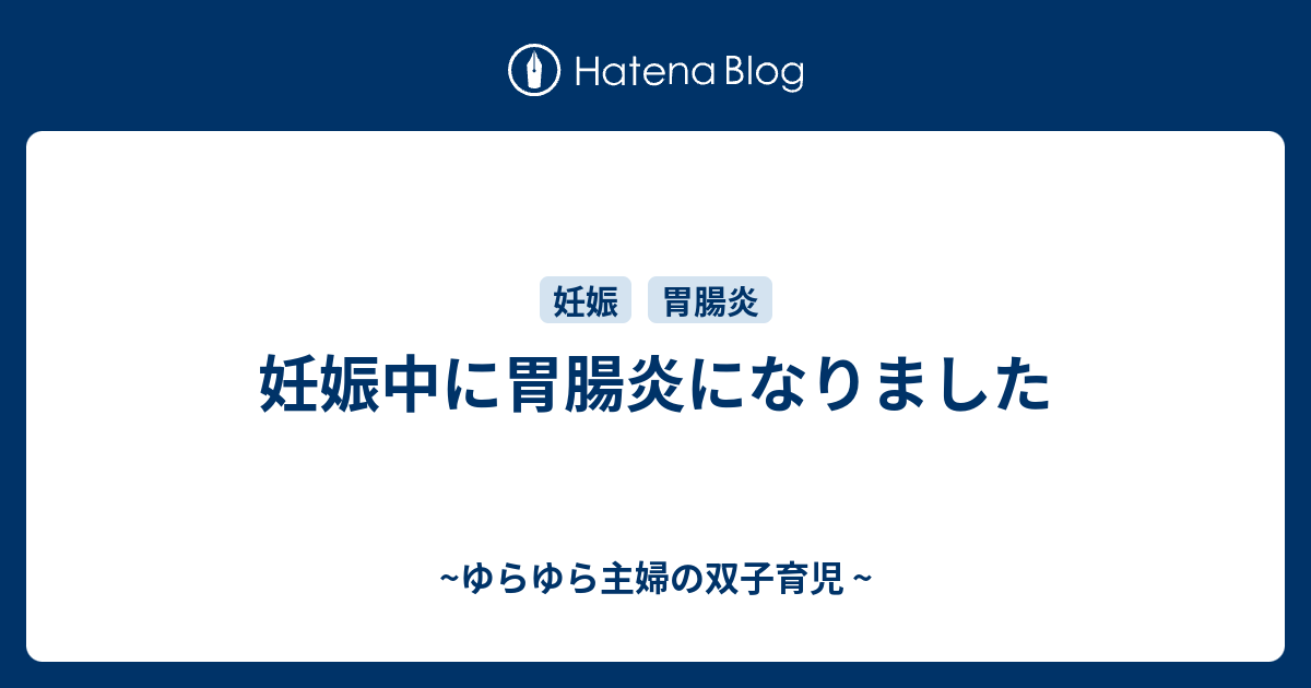 妊娠中に胃腸炎になりました ゆらゆら主婦の双子育児