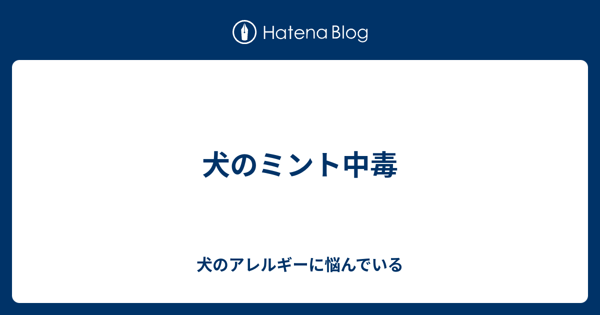 最も選択された ミント 中毒 ミント 飴 中毒