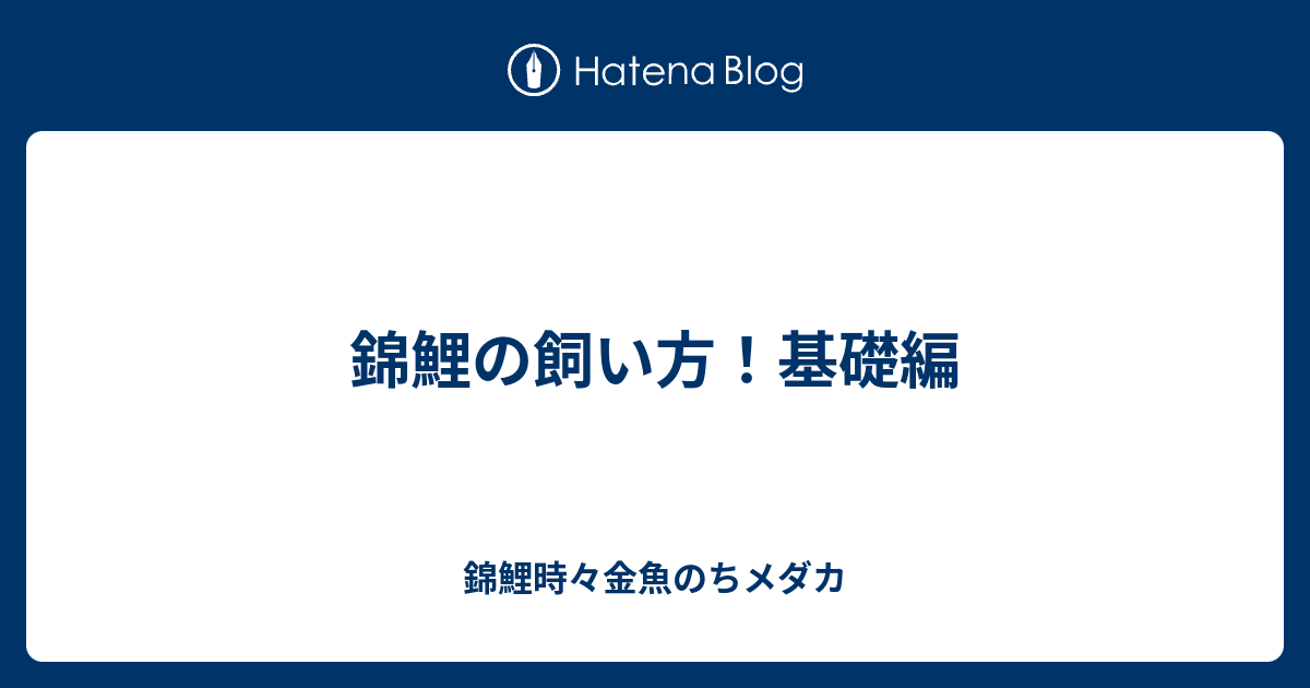 錦鯉の飼い方 基礎編 錦鯉時々金魚のちメダカ