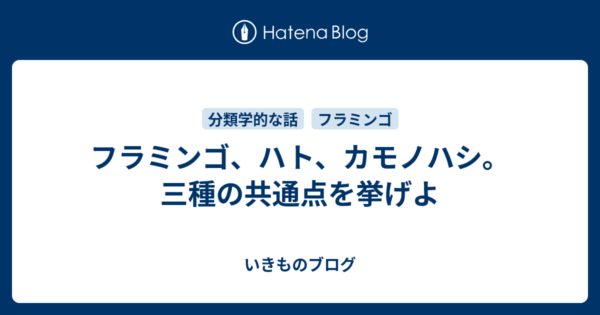 フラミンゴ ハト カモノハシ 三種の共通点を挙げよ いきものブログ
