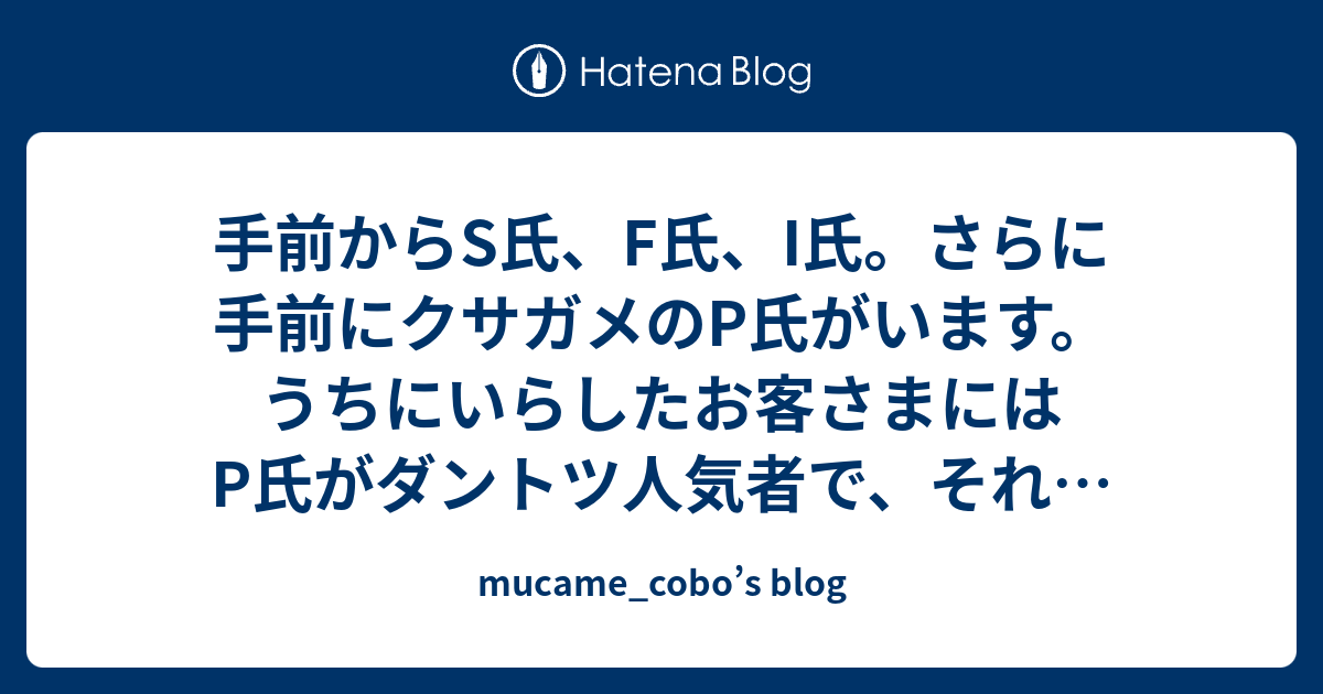 実在のターザンを紹介します: 人類は 60 年間森の中で暮らしていました