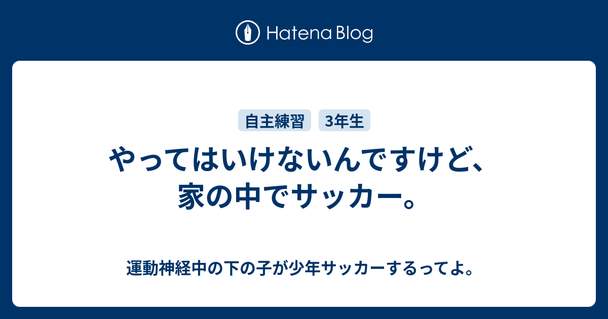 やってはいけないんですけど 家の中でサッカー 運動神経中の下の子が少年サッカーするってよ