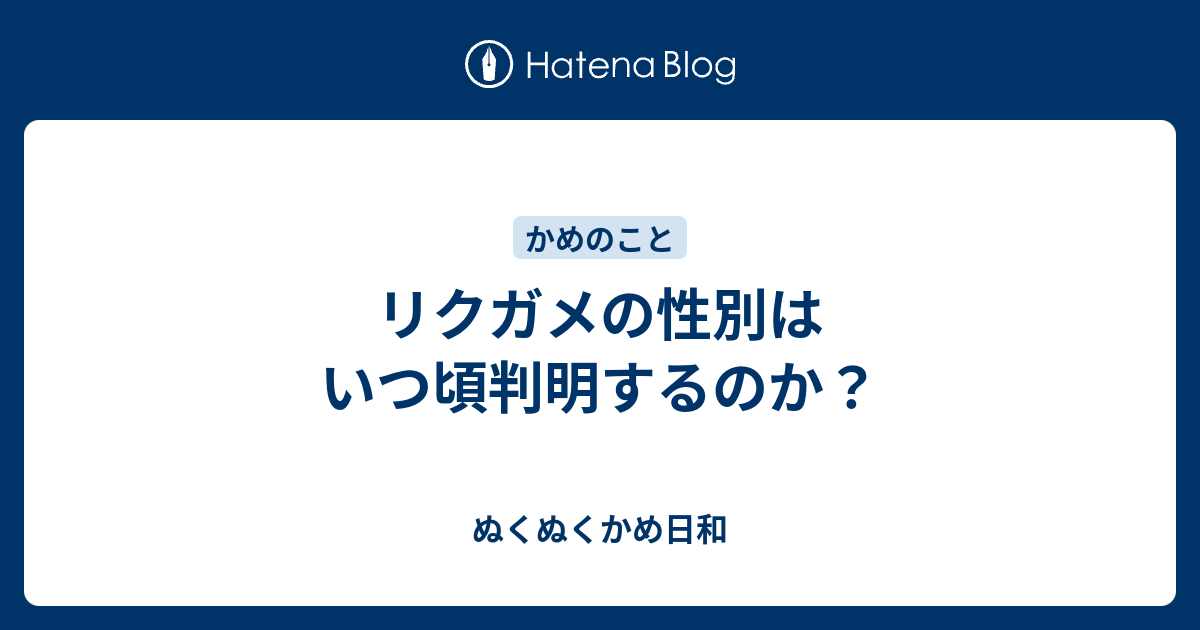 リクガメの性別はいつ頃判明するのか ぬくぬくかめ日和