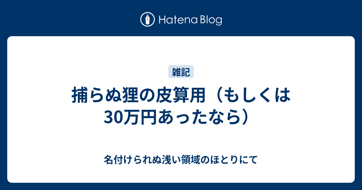 捕らぬ狸の皮算用（もしくは30万円あったなら） - 名付けられぬ浅い