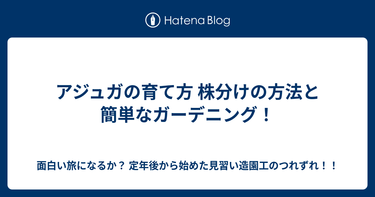 アジュガの育て方 株分けの方法と簡単なガーデニング 面白い旅になるか 定年後から始めた見習い造園工のつれずれ